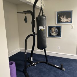 Everlast Heavy Bag/Speed Bag Dual Stand Assembly